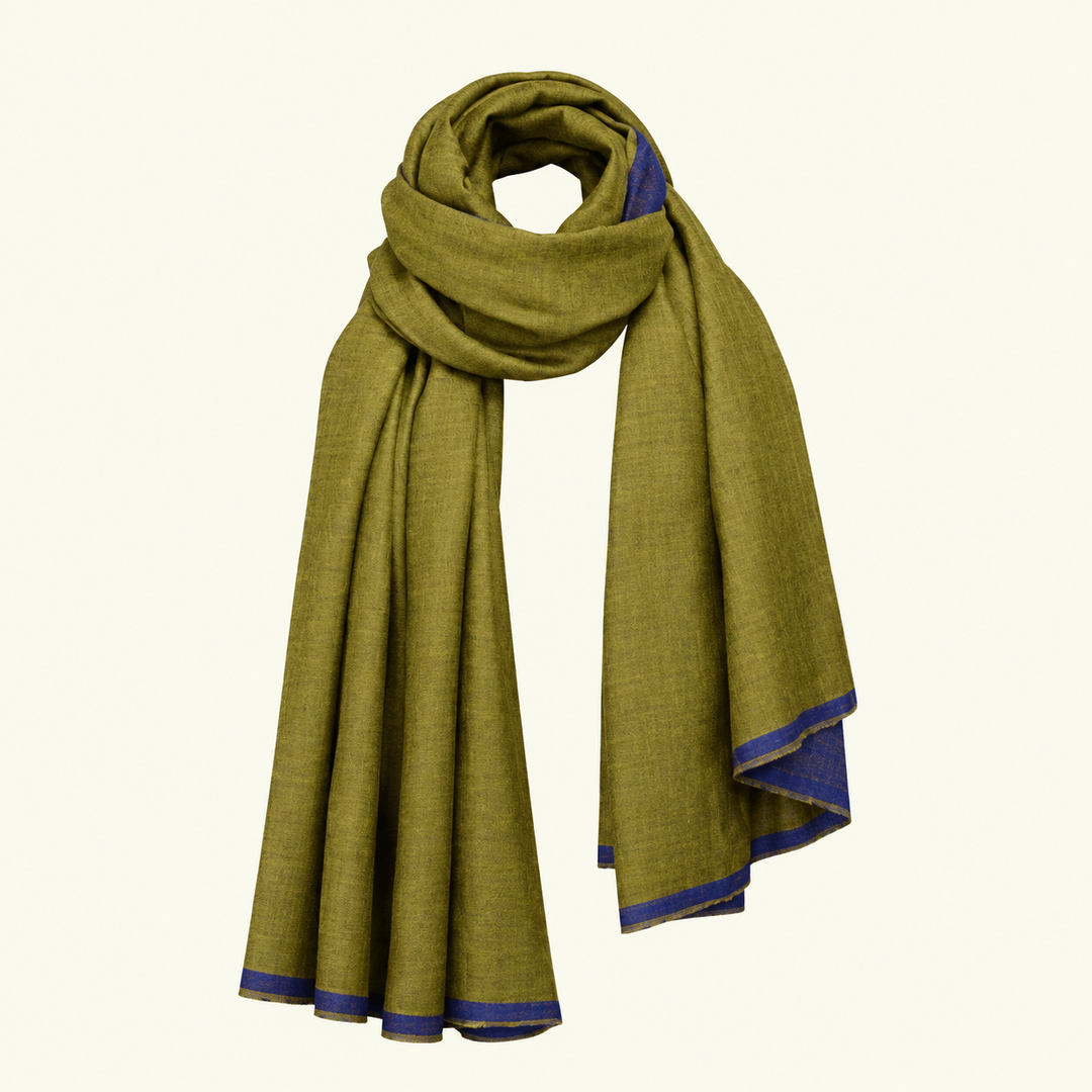 An olive green pashmina scarf with a blue border, elegantly draped and looped on a plain off-white background.