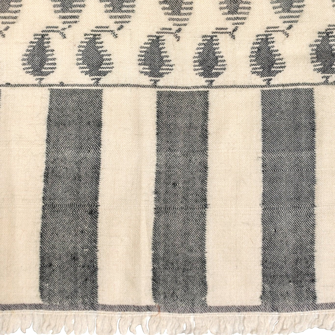 Kani Pashmina Shawl ETERNAL Cashmere Wrap Kashmir Handwoven Premium Shawl - Indus Weavers